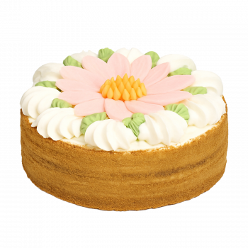 Biskuittorte "Hrizontema", 1,7 kg